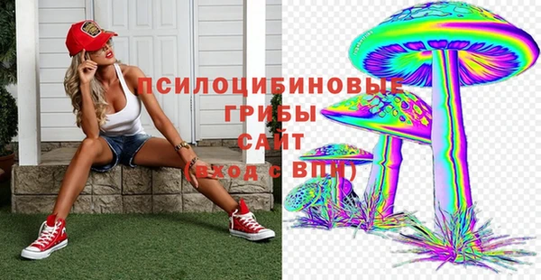 амф Кодинск