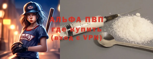 молекула духа Костерёво