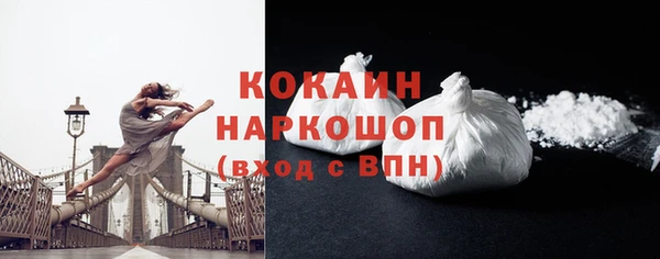 амф Коряжма