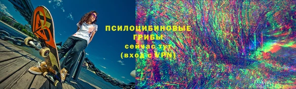 молекула духа Костерёво