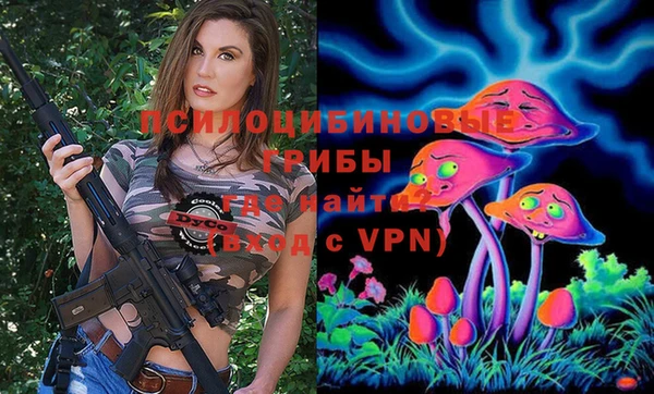 амф Кодинск