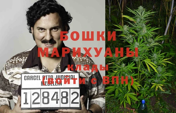 молекула духа Костерёво