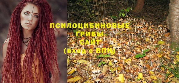 молекула духа Костерёво