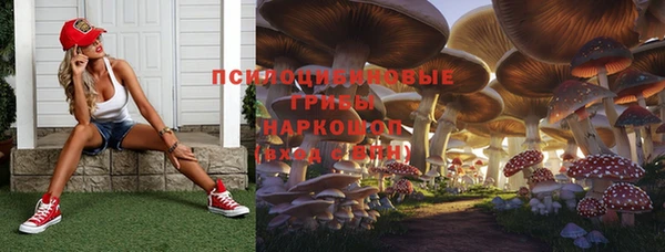 амф Коряжма