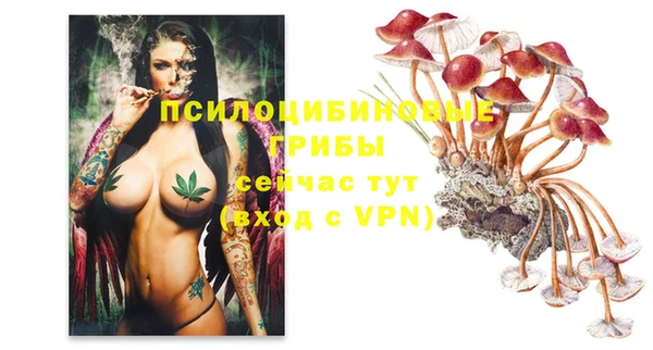 Альфа ПВП Козельск