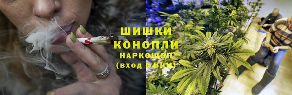 молекула духа Костерёво