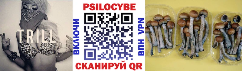 Галлюциногенные грибы прущие грибы  Купить  Самара 